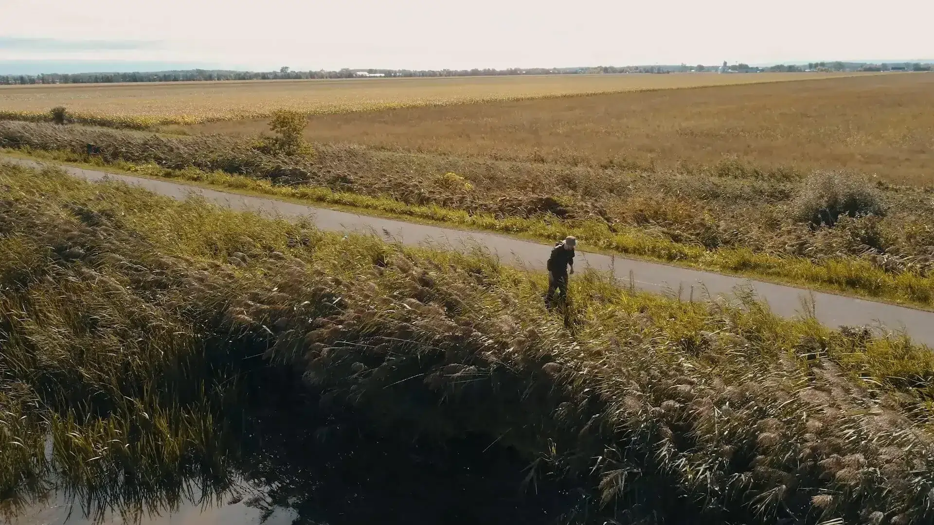 Vue aérienne d'un biologiste LCL relevant des données en bordure d'un canal agricole